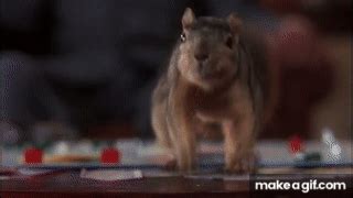 Hughes penned the story Christmas 59 for National Lampoon, and it was published in December of 1980. . Christmas vacation squirrel gif